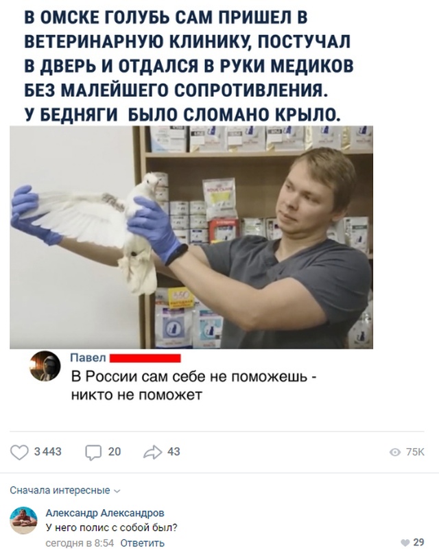 Колкие и забавные комментарии из социальных сетей (20 скриншотов)