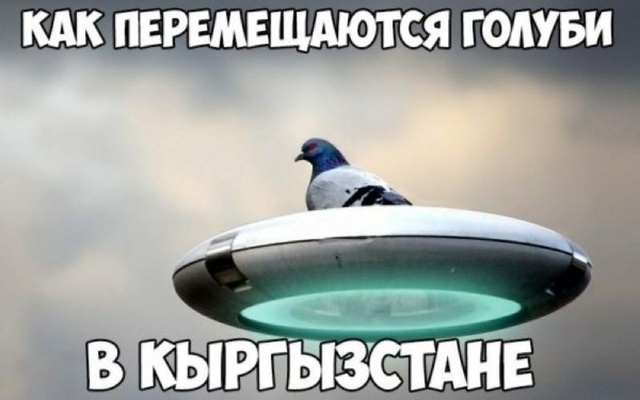 Хороший и нестандартный юмор из сети (27 фото)