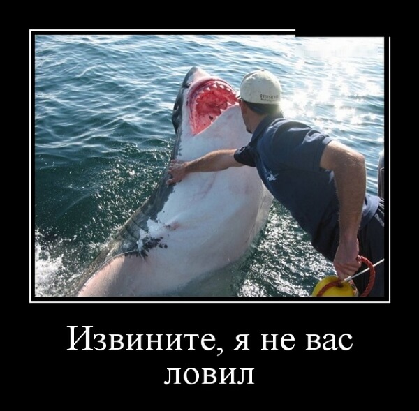 Демотиваторы 2019 года