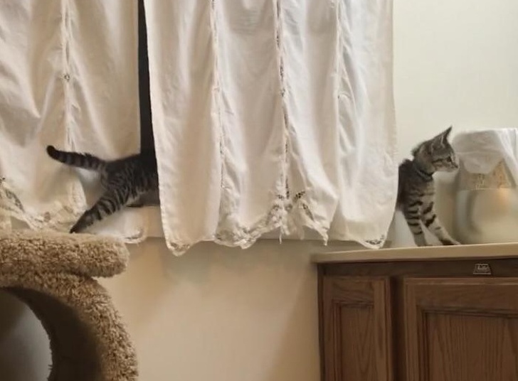 Вот почему важен ракурс (18 фото)