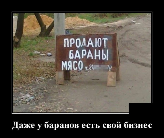 Новейшие демотиваторы сентября 2019 (30 демок)