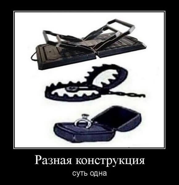 Свежие демотиваторы сентября 2019 года от PAGGY.RU