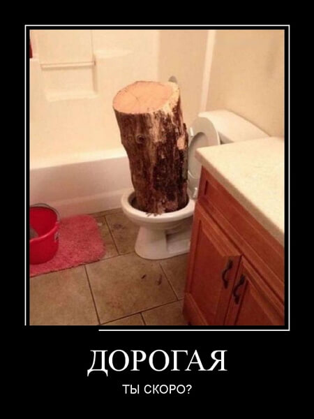 Демотиваторы 2019 года