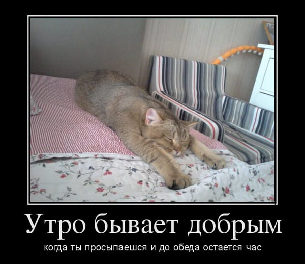 Демотиваторы доброе утро Демотиваторы доброе утро