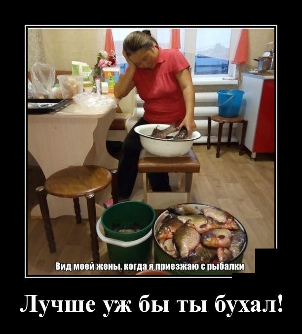 Смешные и очень свежие для 2019 года демотиваторы (30 демок)