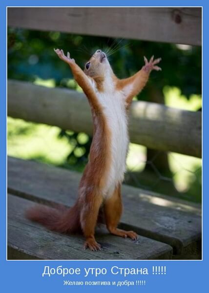 Демотиваторы доброе утро Демотиваторы доброе утро