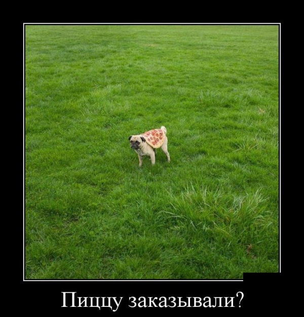 Прикольные демотиваторы сентября (30 демок)