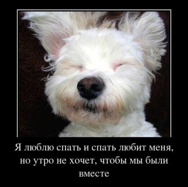 Демотиваторы доброе утро Демотиваторы доброе утро