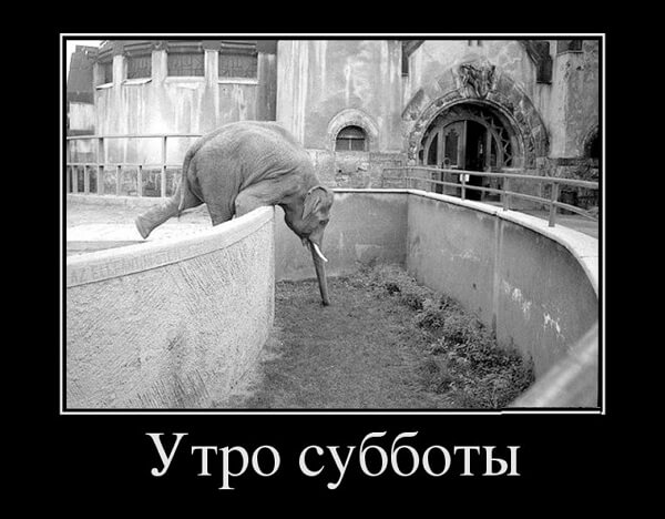 Демотиваторы доброе утро Демотиваторы доброе утро