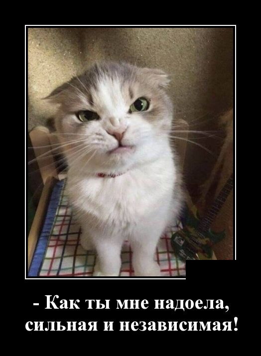 Новейшие демотиваторы сентября 2019 (30 демок)