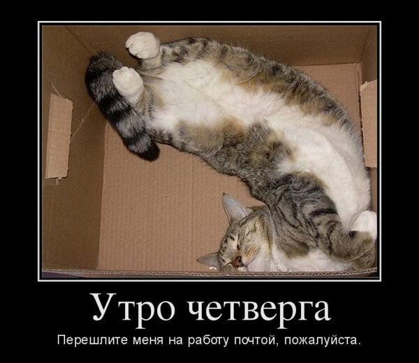 Демотиваторы доброе утро Демотиваторы доброе утро