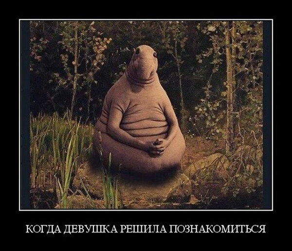 Демотиваторы 2019 года