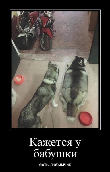 Демотиваторы 14.04.2019