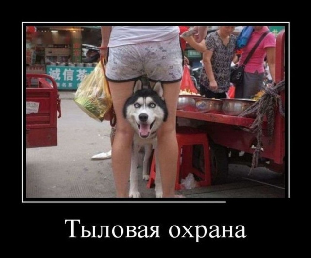 Прикольные демотиваторы сентября (30 демок)