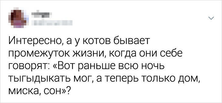 Свежая порция остроумных твитов (20 фото)