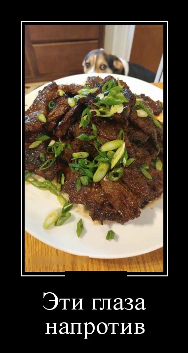 Новые демотиваторы про людей и животных