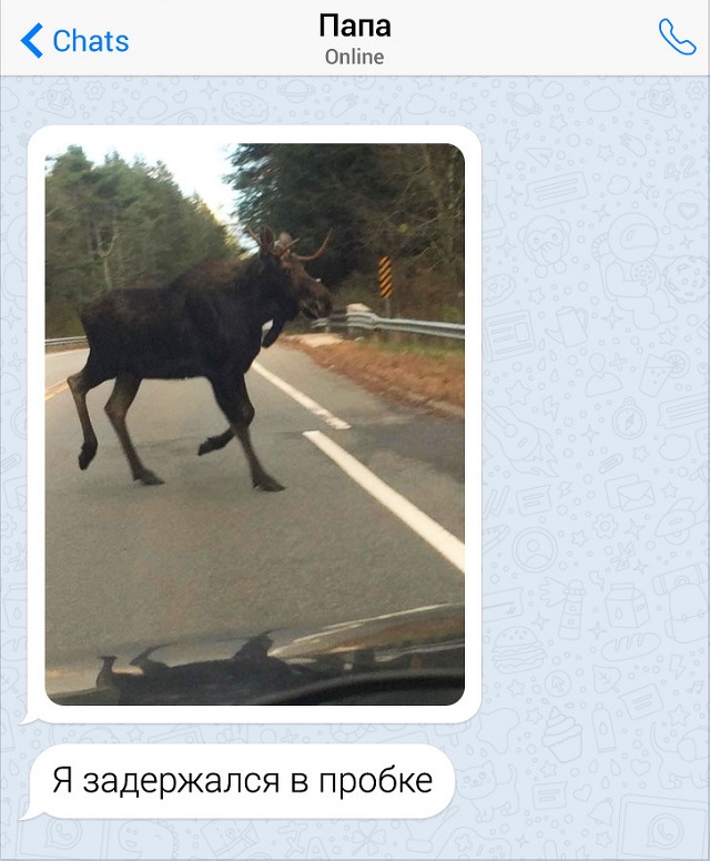 Забавные переписки с родителями (15 скриншотов) Забавные переписки с родителями (15 скриншотов)