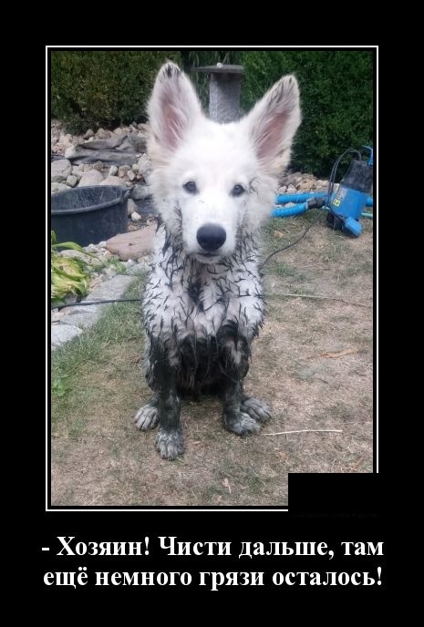 Смешные и свежие демотиваторы (30 демок)