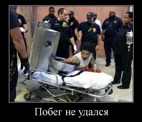 Свежие демотиваторы сентября 2019 года от PAGGY.RU