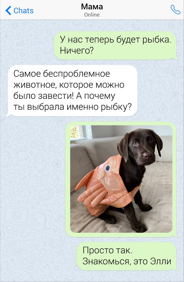 Забавные переписки с родителями (15 скриншотов) Забавные переписки с родителями (15 скриншотов)