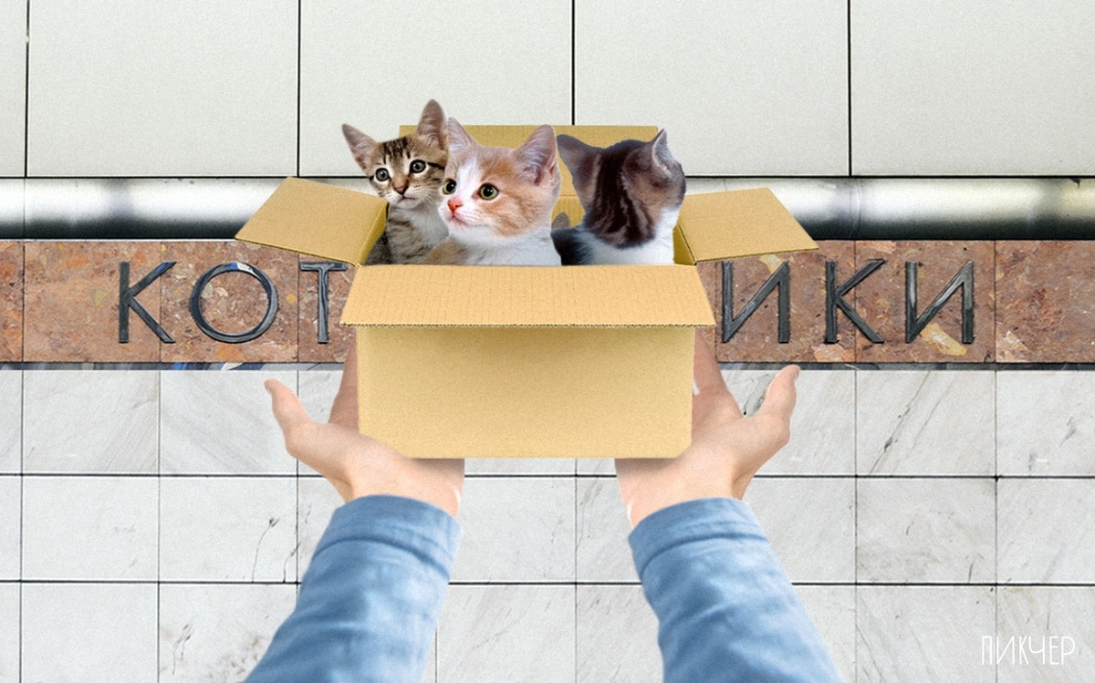 В Интернете пользователи «поиграли» с названиями станций метро (19 фото)