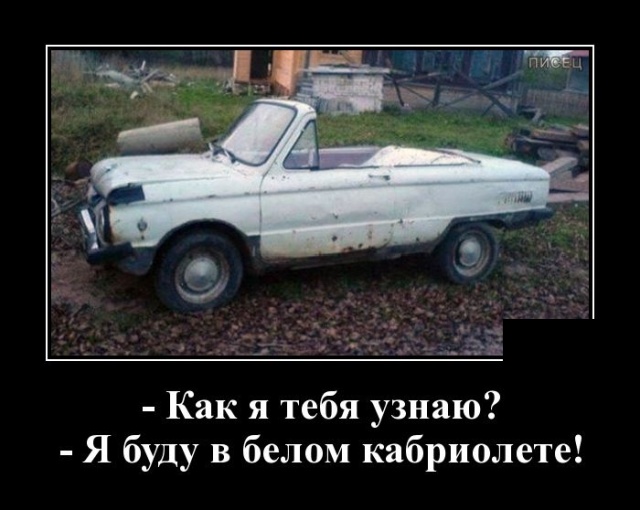 Новые демотиваторы про людей и животных