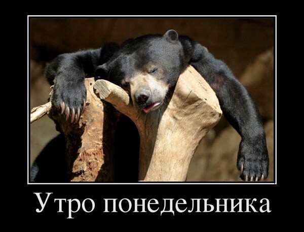 Демотиваторы доброе утро Демотиваторы доброе утро