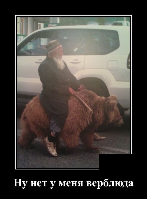 Смешные и очень свежие для 2019 года демотиваторы (30 демок)