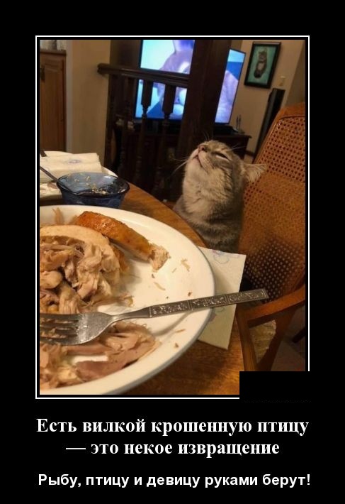 Новейшие демотиваторы сентября 2019 (30 демок)