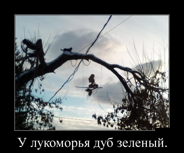 Прикольные демотиваторы сентября (30 демок)