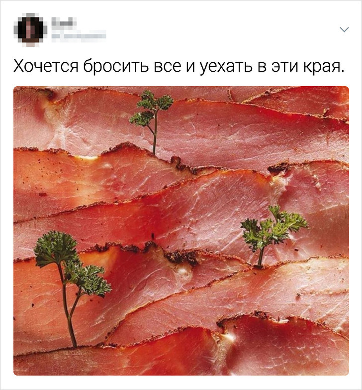 Свежая порция остроумных твитов (20 фото)