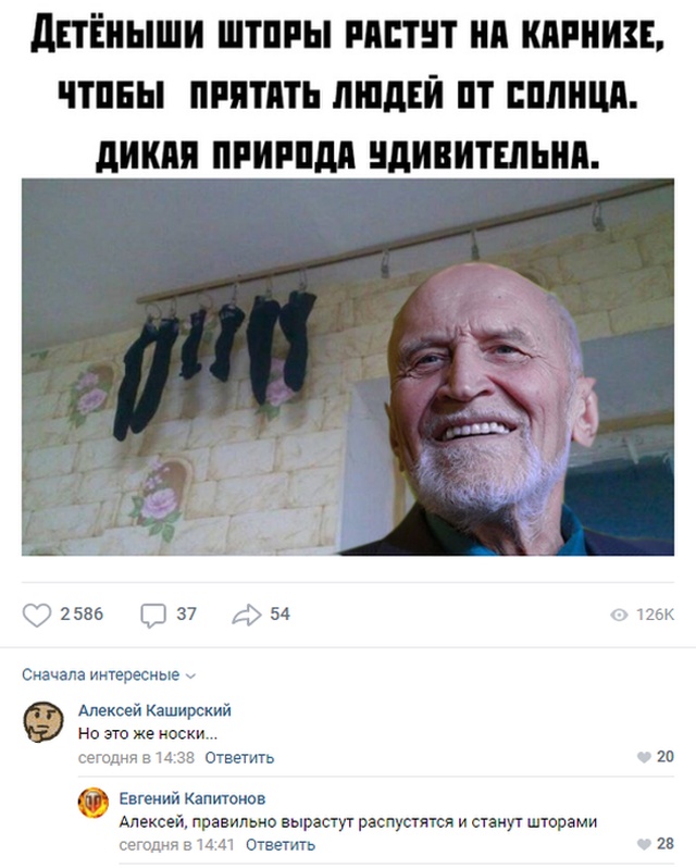 Колкие и забавные комментарии из социальных сетей (20 скриншотов)