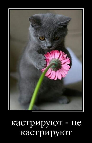 Демотиваторы 2019 года