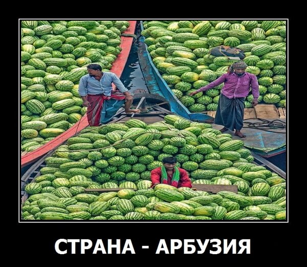 Демотиваторы 2019 года