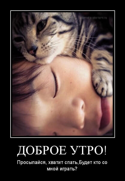 Демотиваторы доброе утро Демотиваторы доброе утро