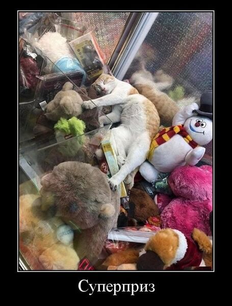 Демотиваторы 14.04.2019