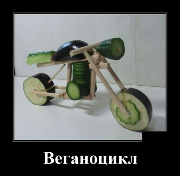 Демотиваторы 2019 года