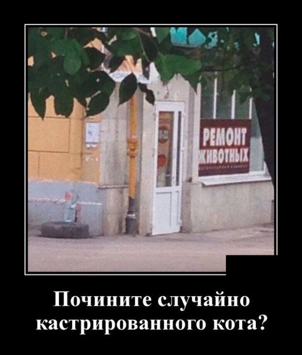 Новейшие демотиваторы сентября 2019 (30 демок)