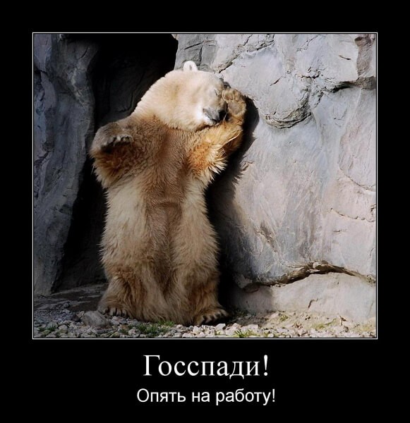 Демотиваторы доброе утро Демотиваторы доброе утро