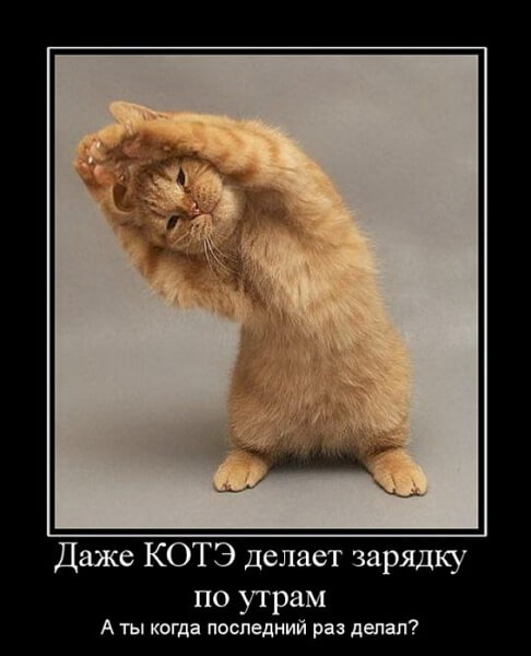 Демотиваторы доброе утро Демотиваторы доброе утро