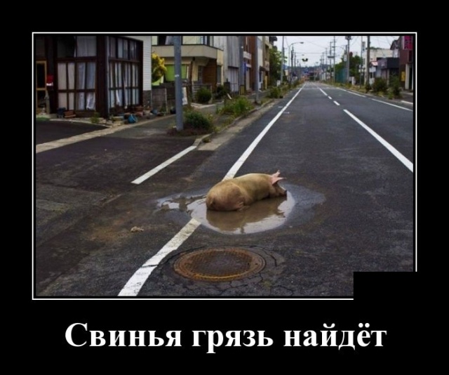 Свежие демотиваторы 19 сентября 2019 (30 картинок с надписями)