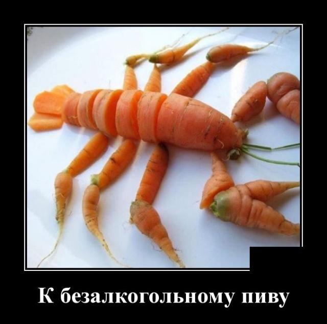 Смешные и очень свежие для 2019 года демотиваторы (30 демок)