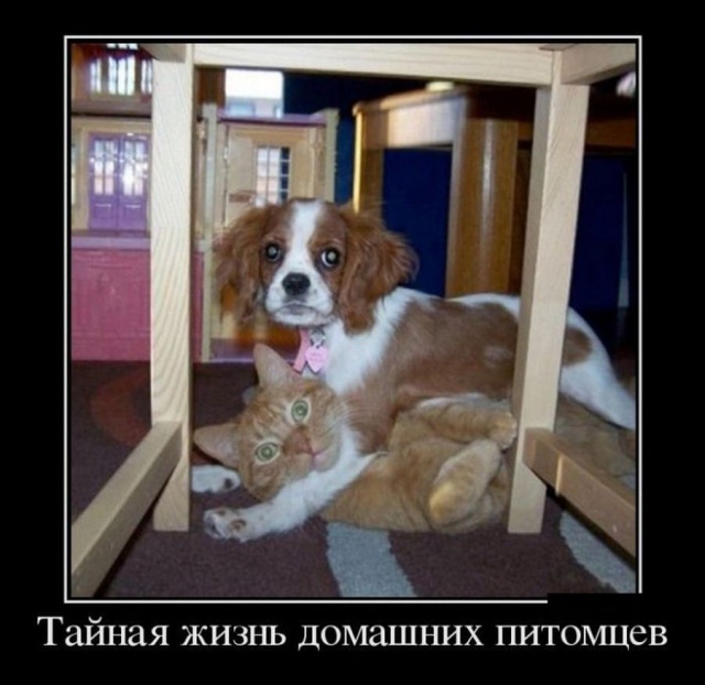 Прикольные демотиваторы сентября (30 демок)