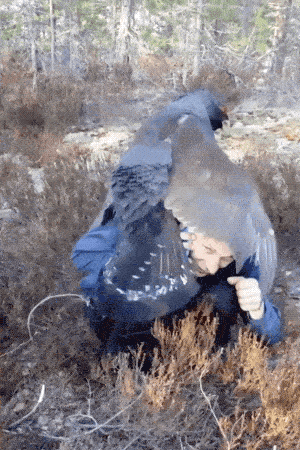 Прекрати снимать и лучше помоги мне! (17 гифок)