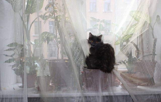 За дело принимается мамин инженер (17 фото)