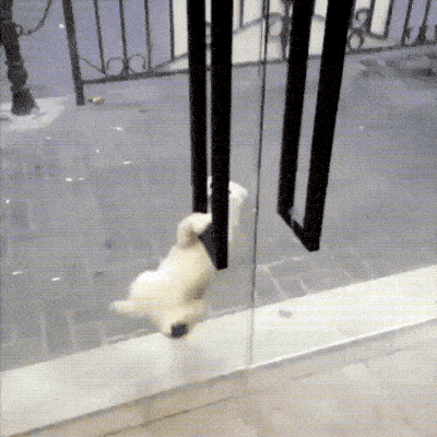 Прекрати снимать и лучше помоги мне! (17 гифок)