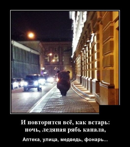 Демотиваторы 14.04.2019