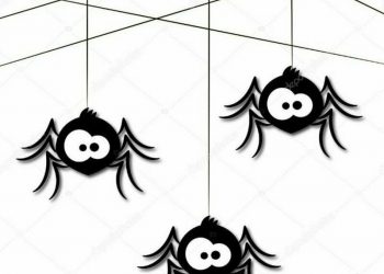 Паутина, которую плетут пауки под кайфом (6 фото)