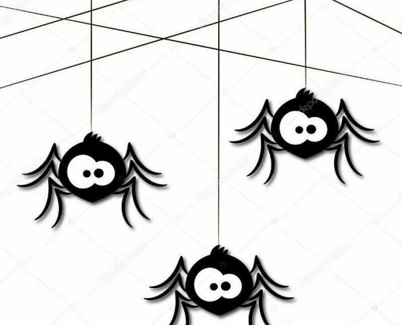 Паутина, которую плетут пауки под кайфом (6 фото)