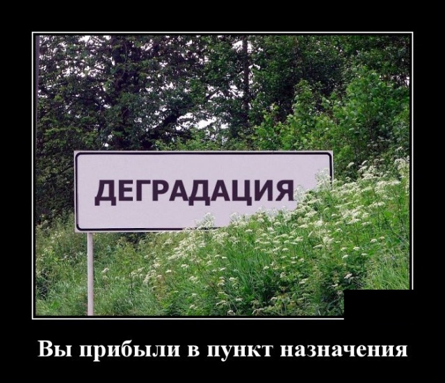 Новейшие демотиваторы сентября 2019 (30 демок)